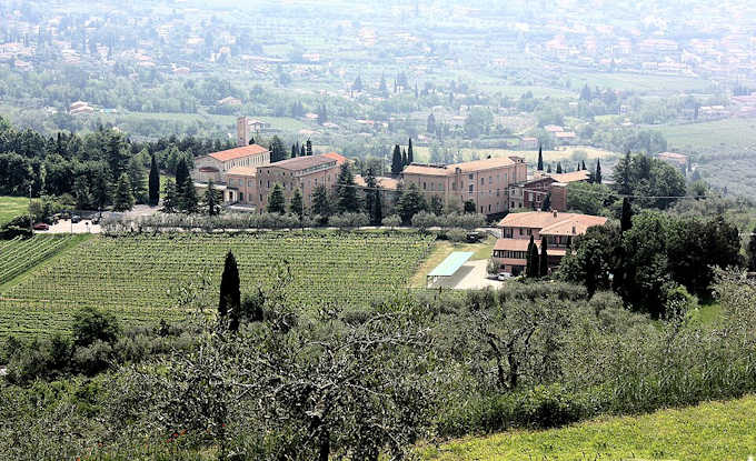 Weinberge in der Nhe der Stadt Bardolino