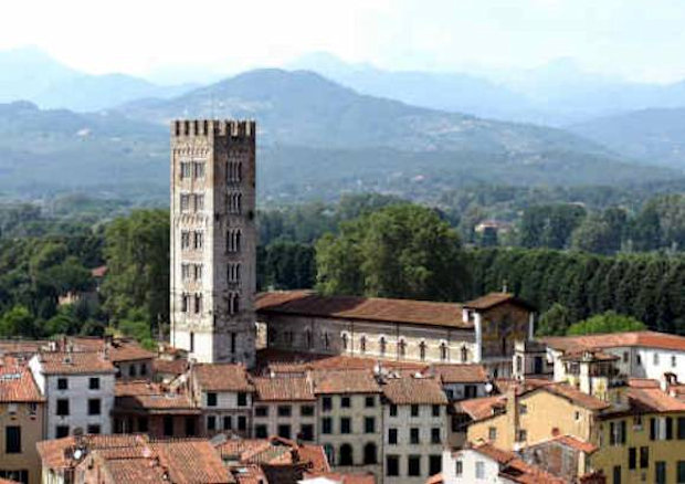 Lucca - Blick auf die Stadt vom Torre Guinigigi