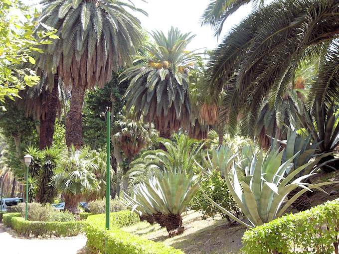 Grünanlagen in Palermo